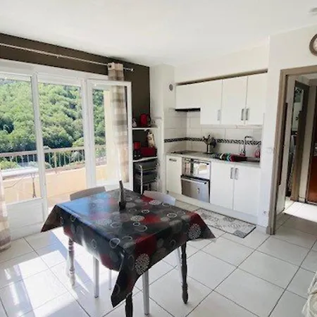 Confortable Avec Balcon, Clim, Wi-fi, Proche Thermes Et Centre-ville, Animaux Bienvenus - Fr-1-703-118 Amélie-les-Bains-Palalda