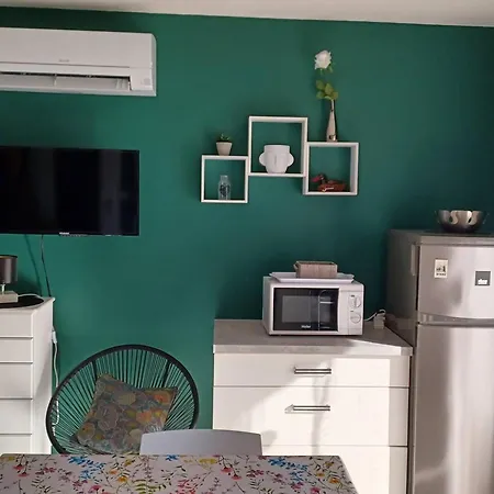 Appartement Confortable Avec Balcon, Clim, Wi-fi, Proche Thermes Et Centre-ville, Animaux Bienvenus - Fr-1-703-118 Amélie-les-Bains-Palalda